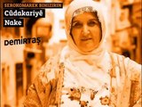 Selahattin demirtaş seçim müziği Kürtçe