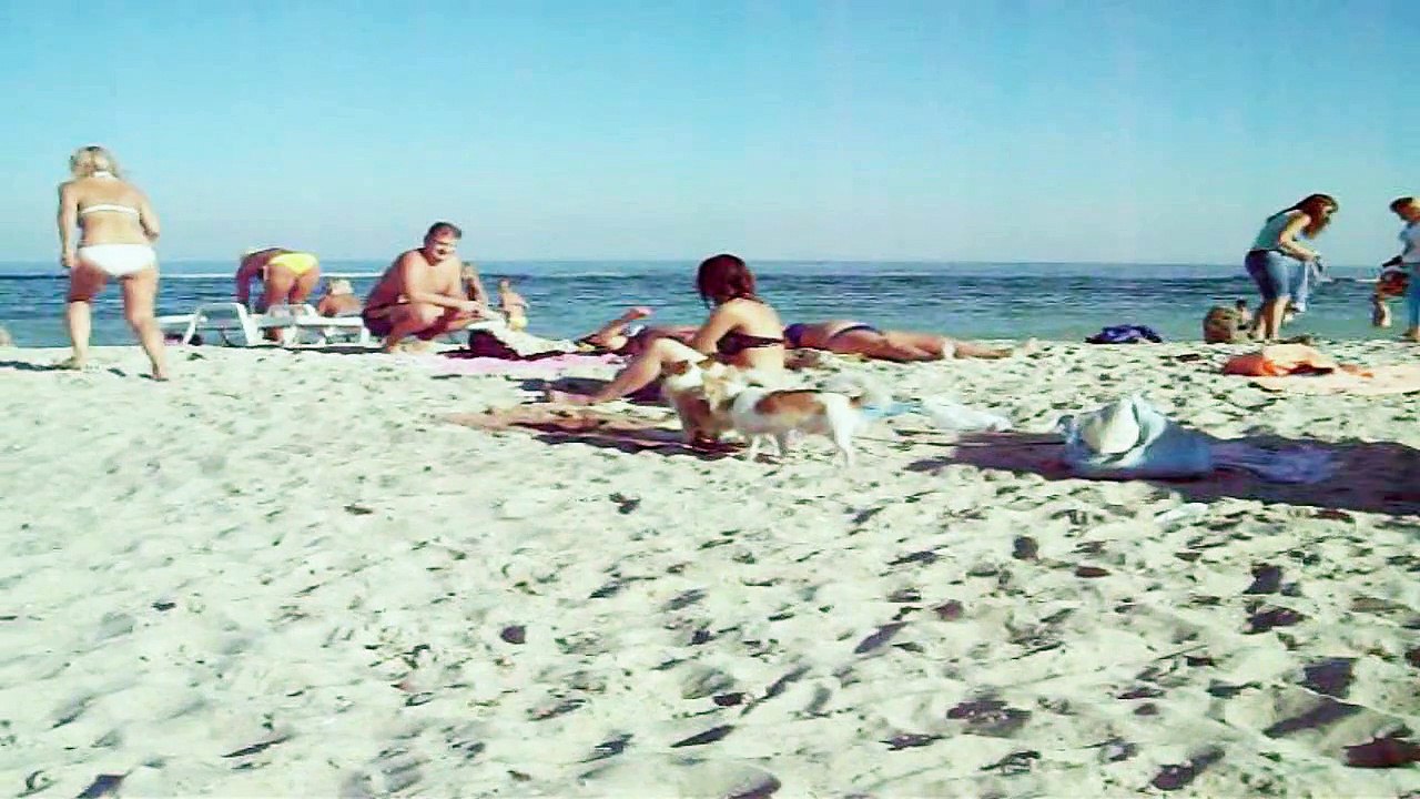 СОБАЧА ЛЮБОВ З ПЕРШОГО ПОГЛЯДУ_Crash_13022012_171152-А