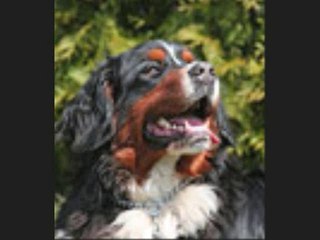 dj mobrown "minimix"