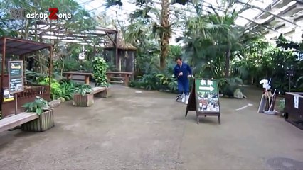 Penguins - A Cute And Funny Penguin Videos Compilation -- NEW HD