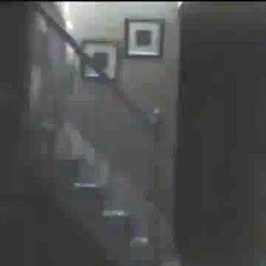 Funny Vines  EASTER BUNNY CAUGHT ON TAPE!