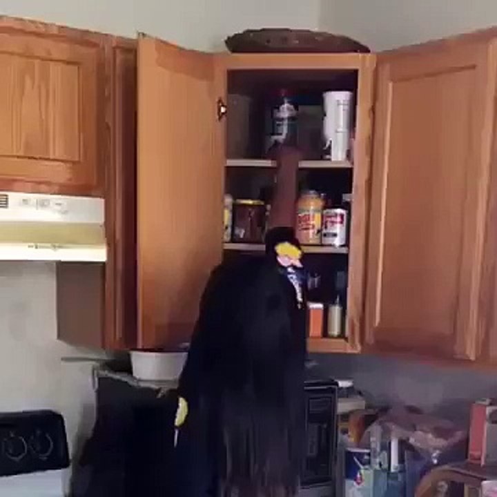 Short People Problems.