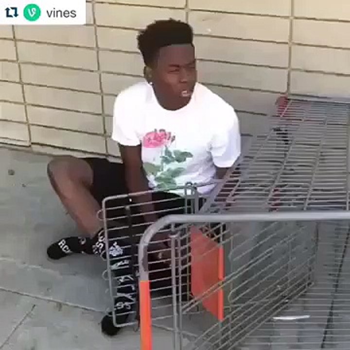Short Vines 2015 #1