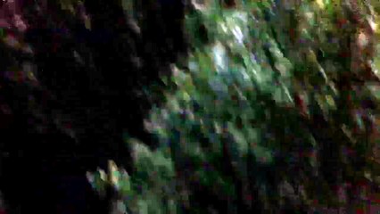Apocalyptic Backyard Tornado - Up Close & Personal