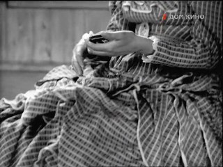 Коловращение жизни