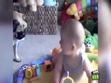 Cute Animals and Dolls Comes Together - YouTube