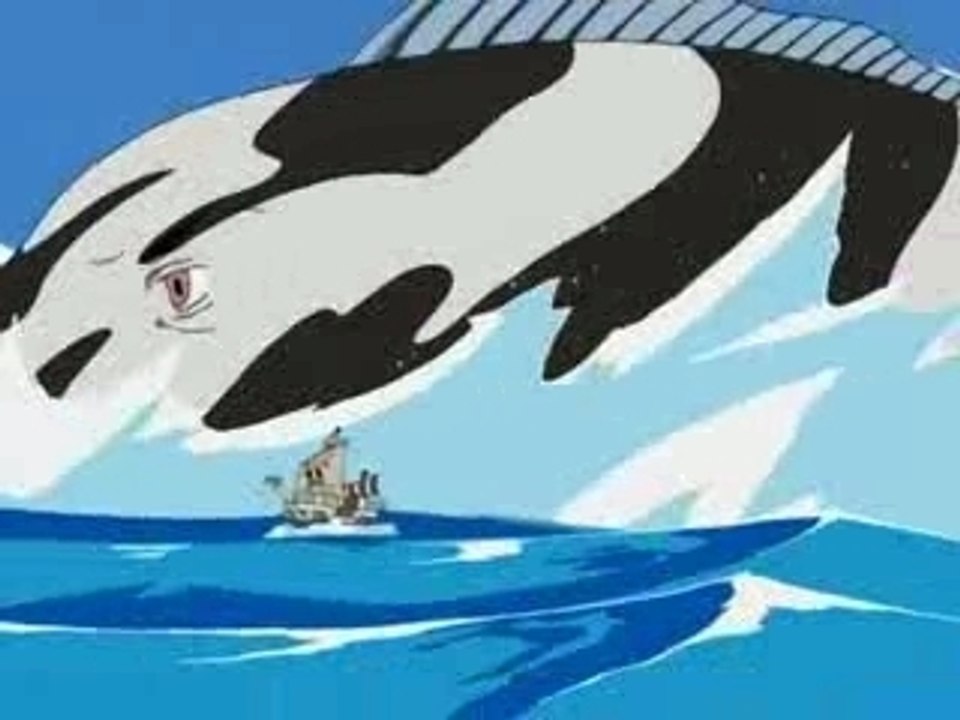 One piece opening 01