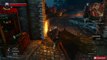 The Witcher 3 Wild Hunt - Assassin of Kings Trophy / Achievement Guide (Reason of State Si