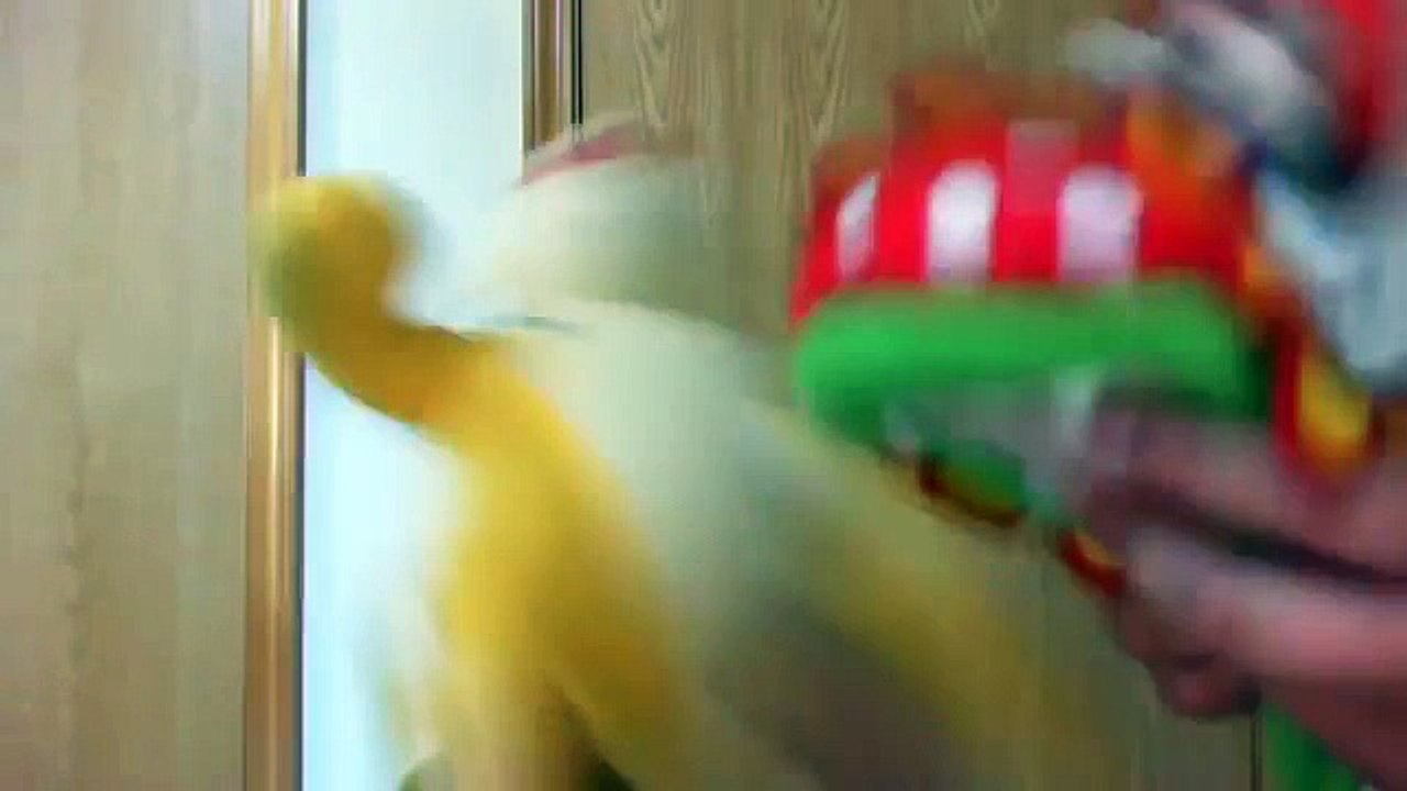 the funniest mario video ever