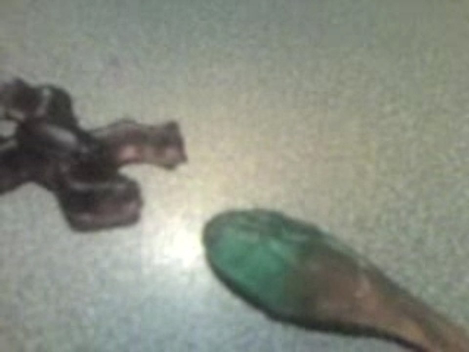 La fin de la grenouille
