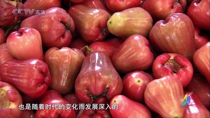 CCTVHD.Nourished.By.The.Same.River.EP20.HDTV.720P.x264