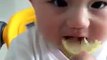 baby first time tries lemon - FUNNY FACE