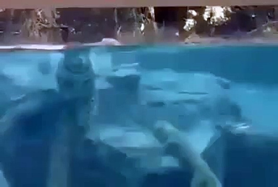 Jaguar underwater - YouTube
