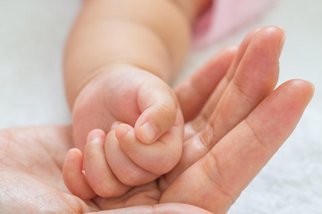 Hommage aux papas Ma petite main dans la tienne