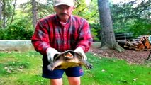 Snapping Turtle Reaches Out and Bites Man