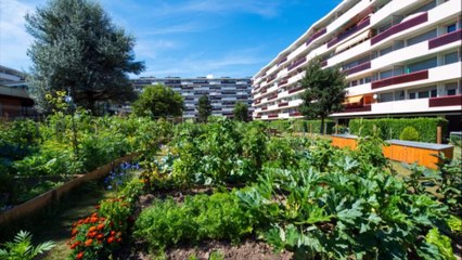 20 000 idées au Mayet - Opération ma Planète 2050