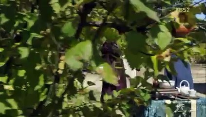 부천오피 ※Oｐｙｏ0１.ＣoＭ※ ≪오피요≫ 역삼오피 인천오피 역삼오피
