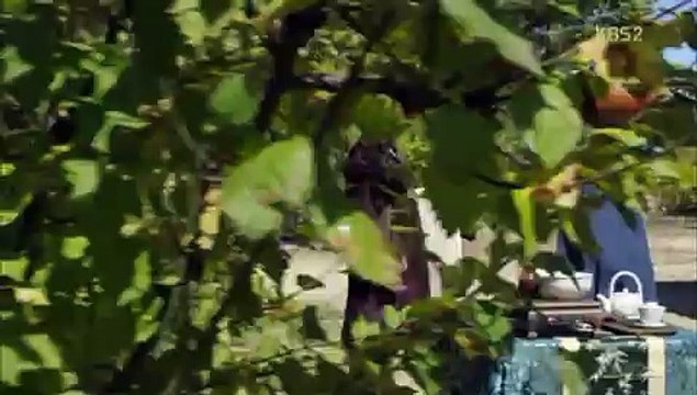 부천오피 ※Oｐｙｏ0１.ＣoＭ※ ≪오피요≫ 역삼오피 인천오피 역삼오피