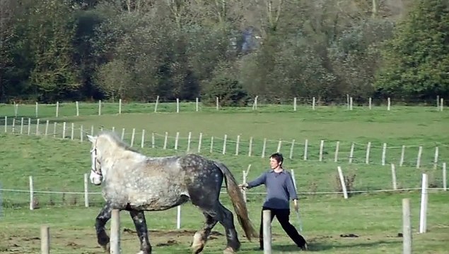 petit exercice d'écoute pour gros poutou