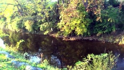 11 NOVEMBRE 2015 - PAU - LES NEWS DES BORDS DE L'OUSSE..
