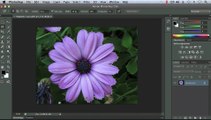 Adobe photoshop, Working with the Lasso Tools