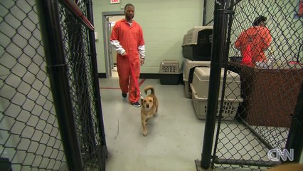 Abandoned dogs are paired with inmates to create a bond in jail