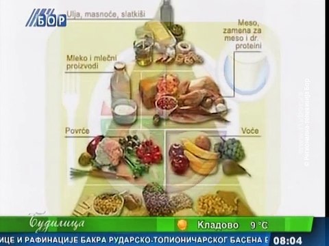 Budilica gostovanje (dr Snežana Jovanović), 13. novembar 2015. (RTV Bor)