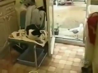 наглость второе счастье