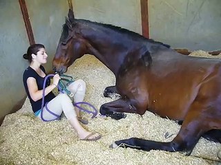 Girl-and-Horse---Great-Bond