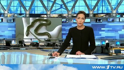 В Бразилии ядовитая змея скончалась от укуса маленького мальчика