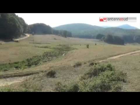 Tg Antenna Sud - Famiglia leccese si perde sulla Sila