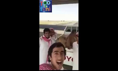 toofani network camil cry as arabian