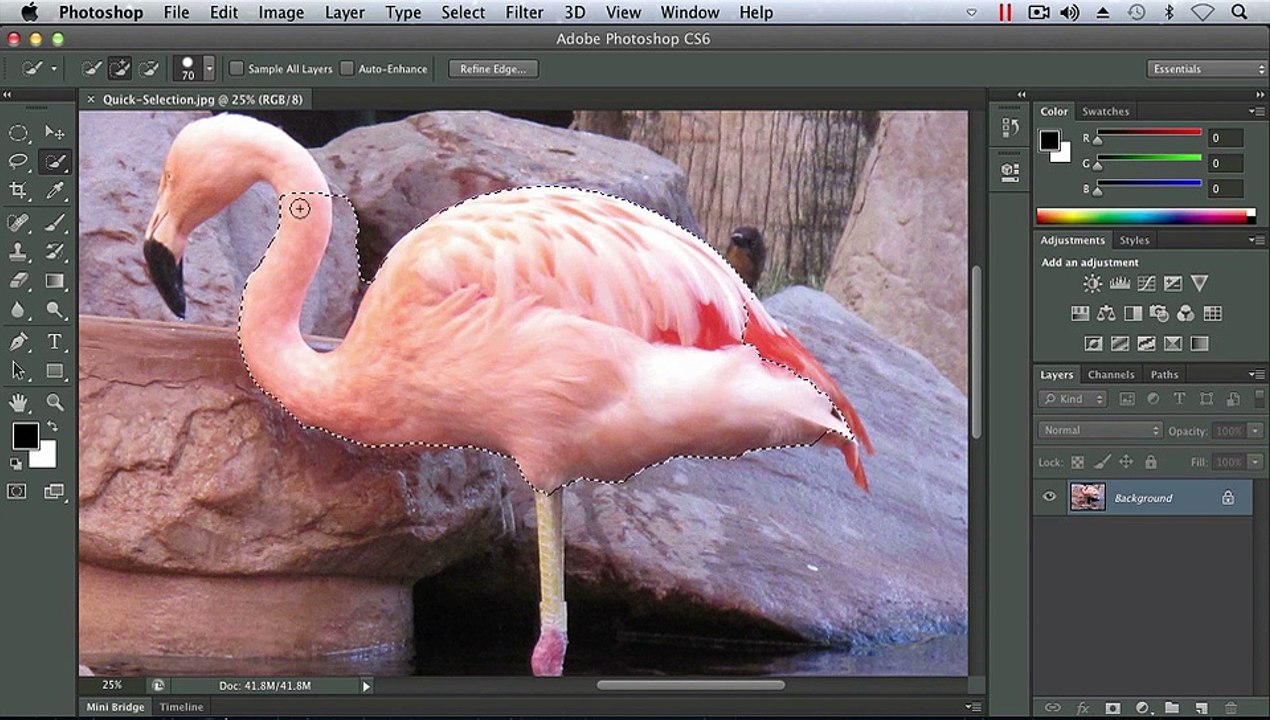 Adobe Photoshop Using the Quick Selection Tool