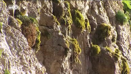 Au coeur du patrimoine : Les Deux Caps : Grand Site de France !