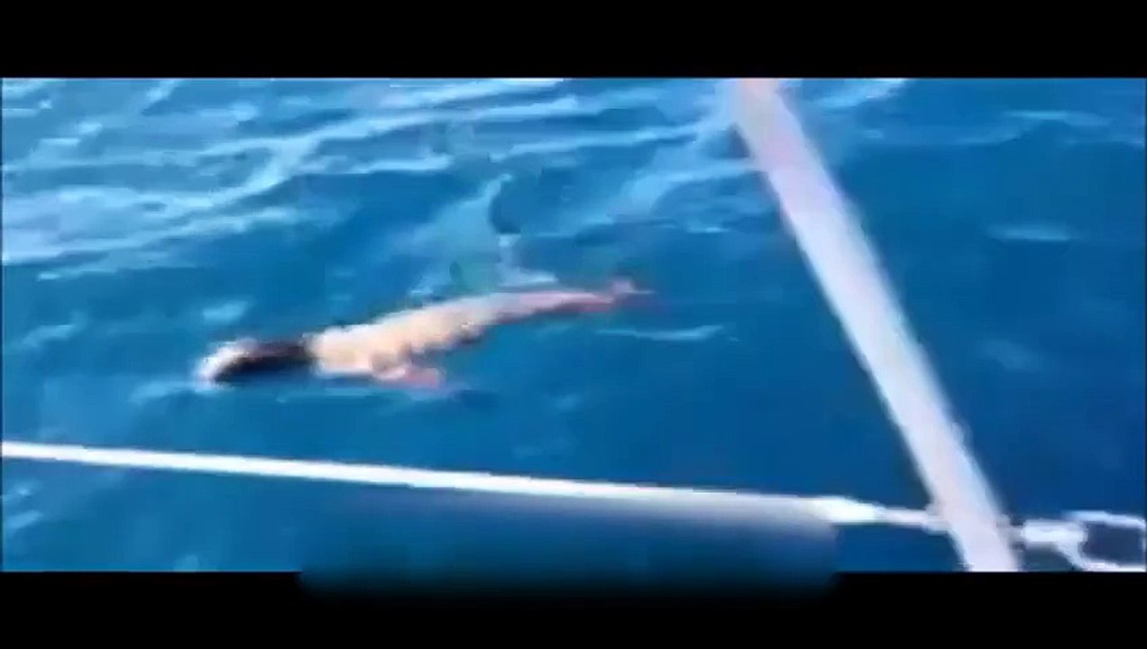 Une otarie monte sur leur bateau pour faire une chose incroyable