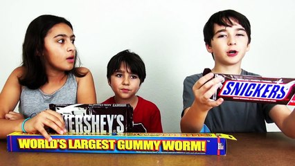 The Worlds Largest Gummy Worm and Other Big Candy