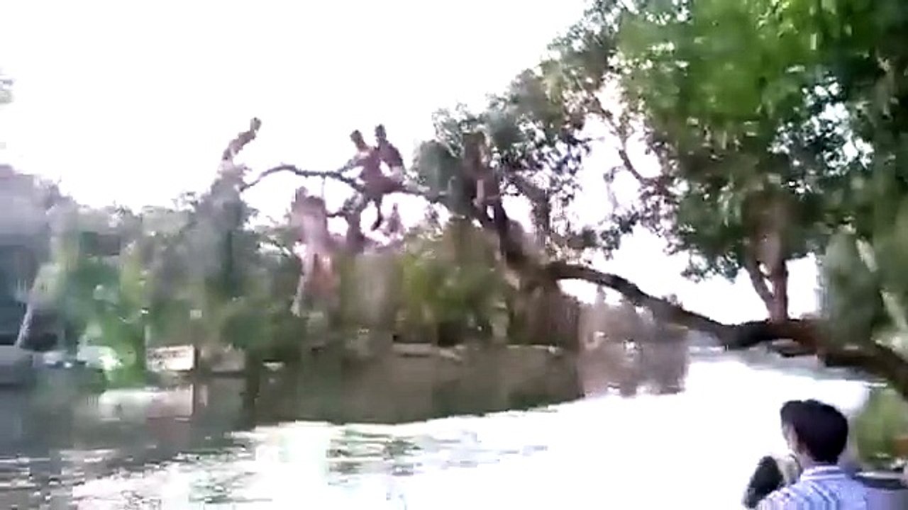 [ Funny Moment ] Funny Videos Funny Pranks Against Stupid Funny Fails 2015 P62