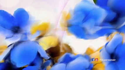 Eshwaran Sakshi | Flowers TV Gnrl Promo
