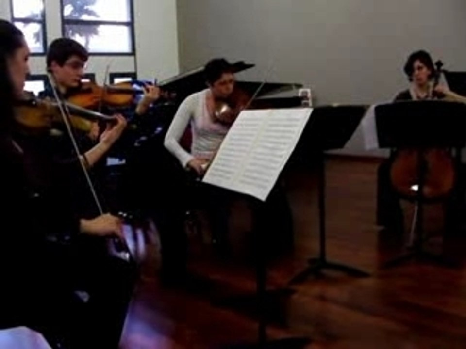 Schumann1