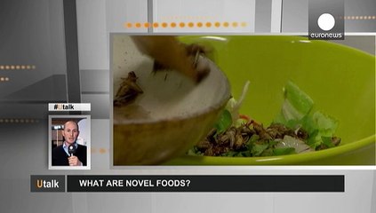 Що таке "нові продукти харчування"?