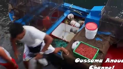 plays-with-a-very-strange-friend-when-we-realized-what-it-was-shocking-video