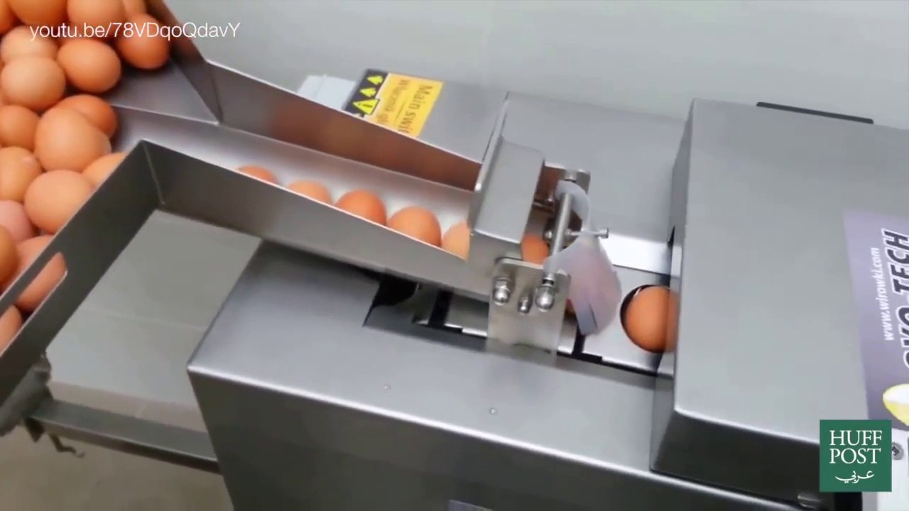 This mesmerizing machine breaks eggs in line!