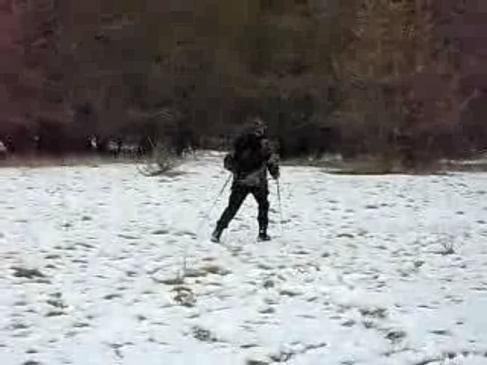 Pommier 05-05-07 048