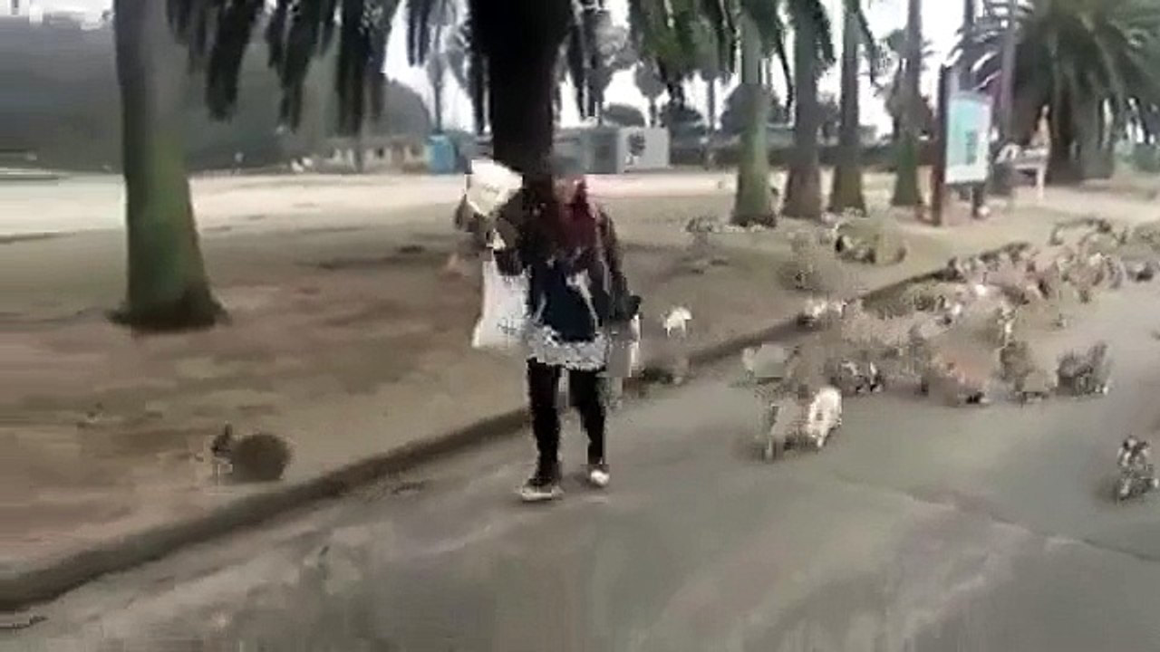 Girl full funny clip