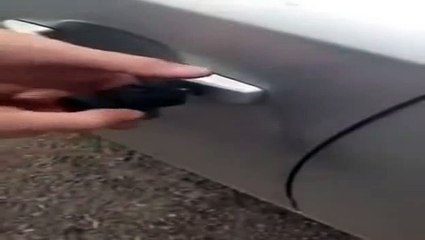 The key that unlocks all cars