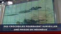 Des crocodiles pourraient surveiller une prison en Indonésie
