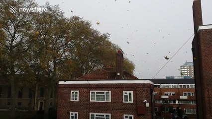 Storm Abigail hits London briefly, causing heavy wind and rain