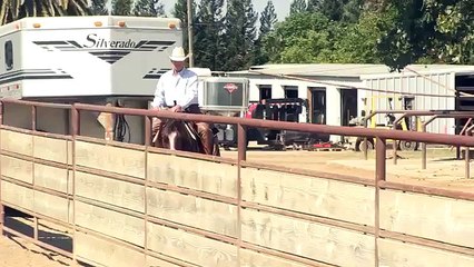 Cutting   Horse-Rancing