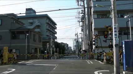 Le plus petit train du monde