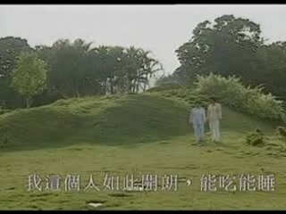 Tung Hoanh Tu Hai 06D